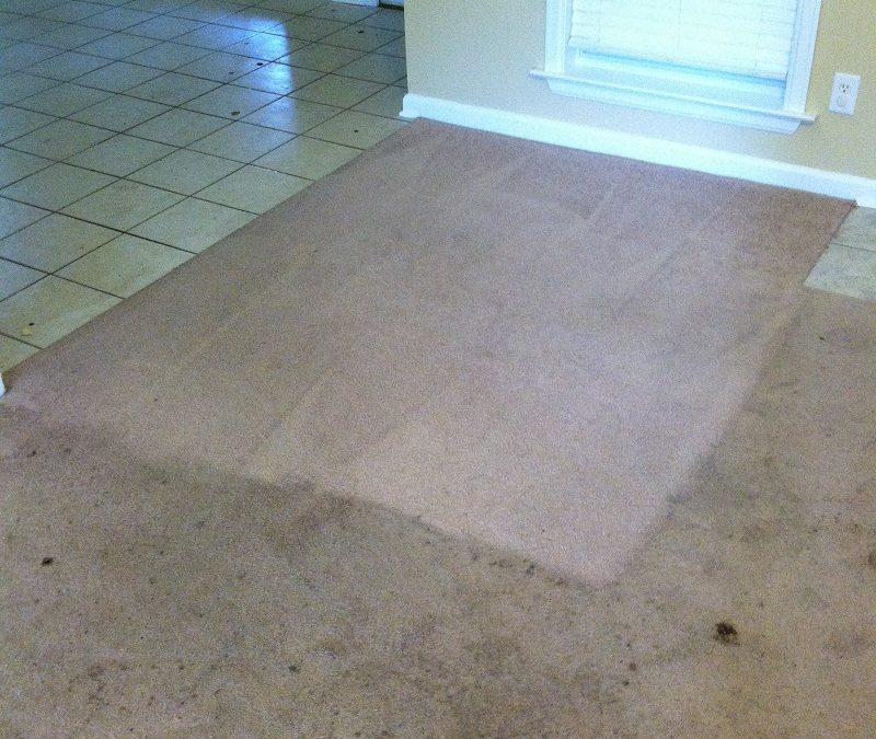 Carpet Cleaning Prattville, AL